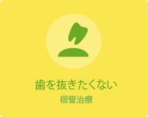 歯を抜きたくない根管治療